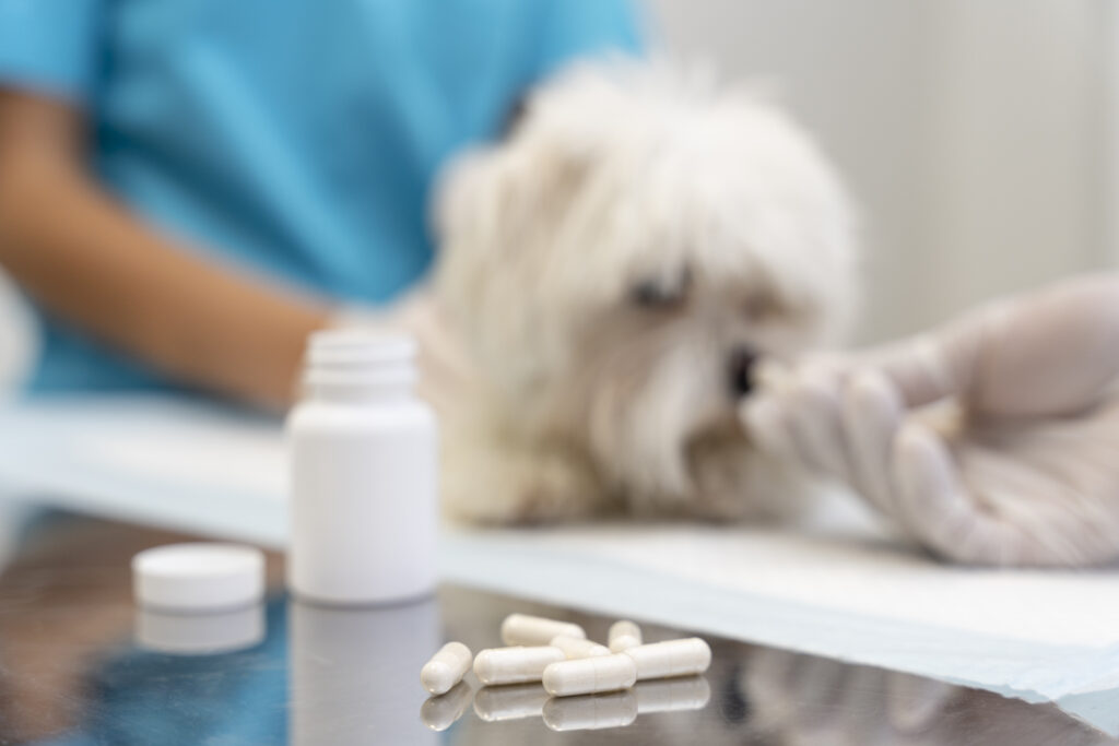 Quanto uma clínica paga com tributação de medicamentos veterinários?